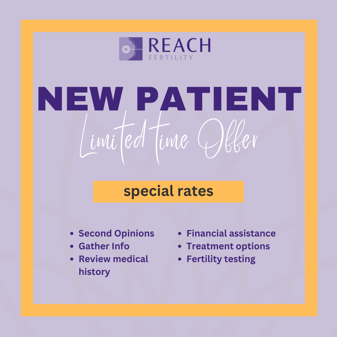 Book Now and take advantage of discounted rates for New Patients